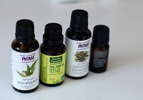 Happiness is Eucalyptus Essential Oil