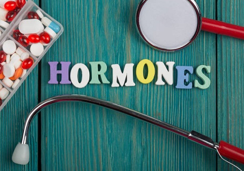 Functioning Of Important Hormones In Human Body