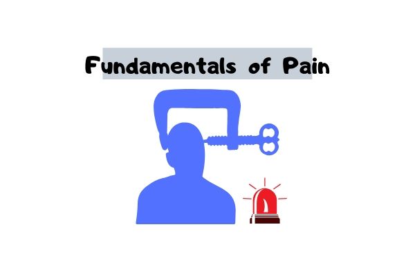 The Fundamentals Of Pain Relief