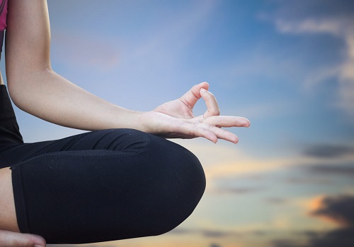 Vipassana – Creation of a Balanced Mind with Eco Therapy