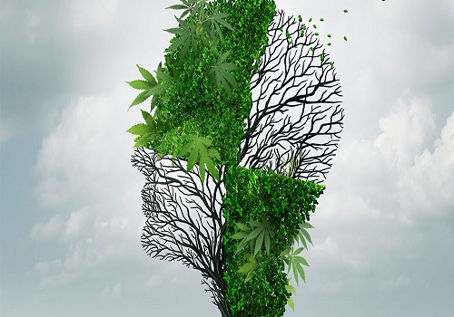 Cannabis Benefits In Autism Treatment